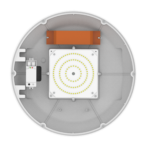BSL Corina Emergency and Sensor