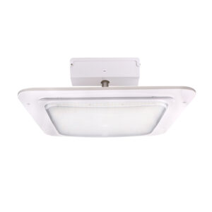 New Light NE Square LED canopy luminaire